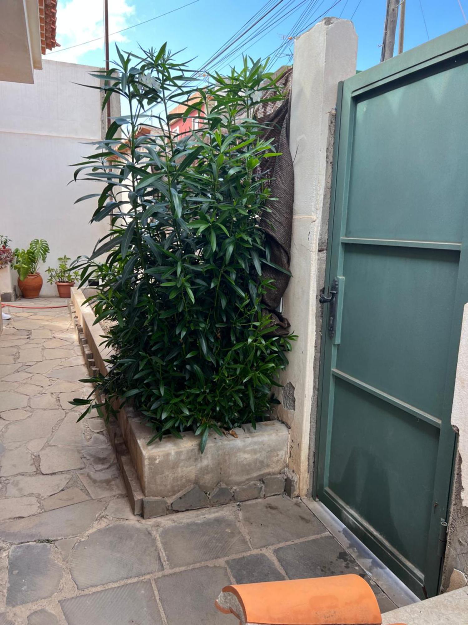 Atico Casa De Invitados Bluemoon La Laguna  Ngoại thất bức ảnh